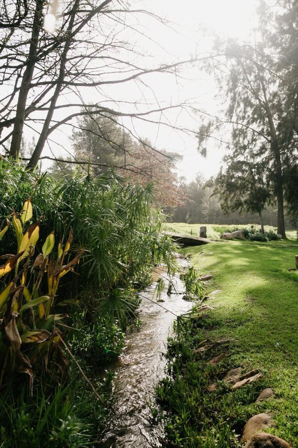 Knorhoek Country Guesthouse Stellenbosch Luaran gambar
